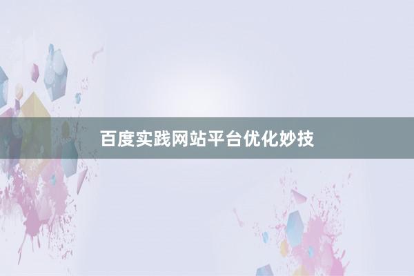 百度实践网站平台优化妙技