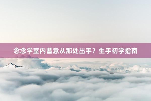 念念学室内蓄意从那处出手？生手初学指南