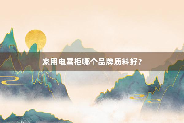 家用电雪柜哪个品牌质料好？